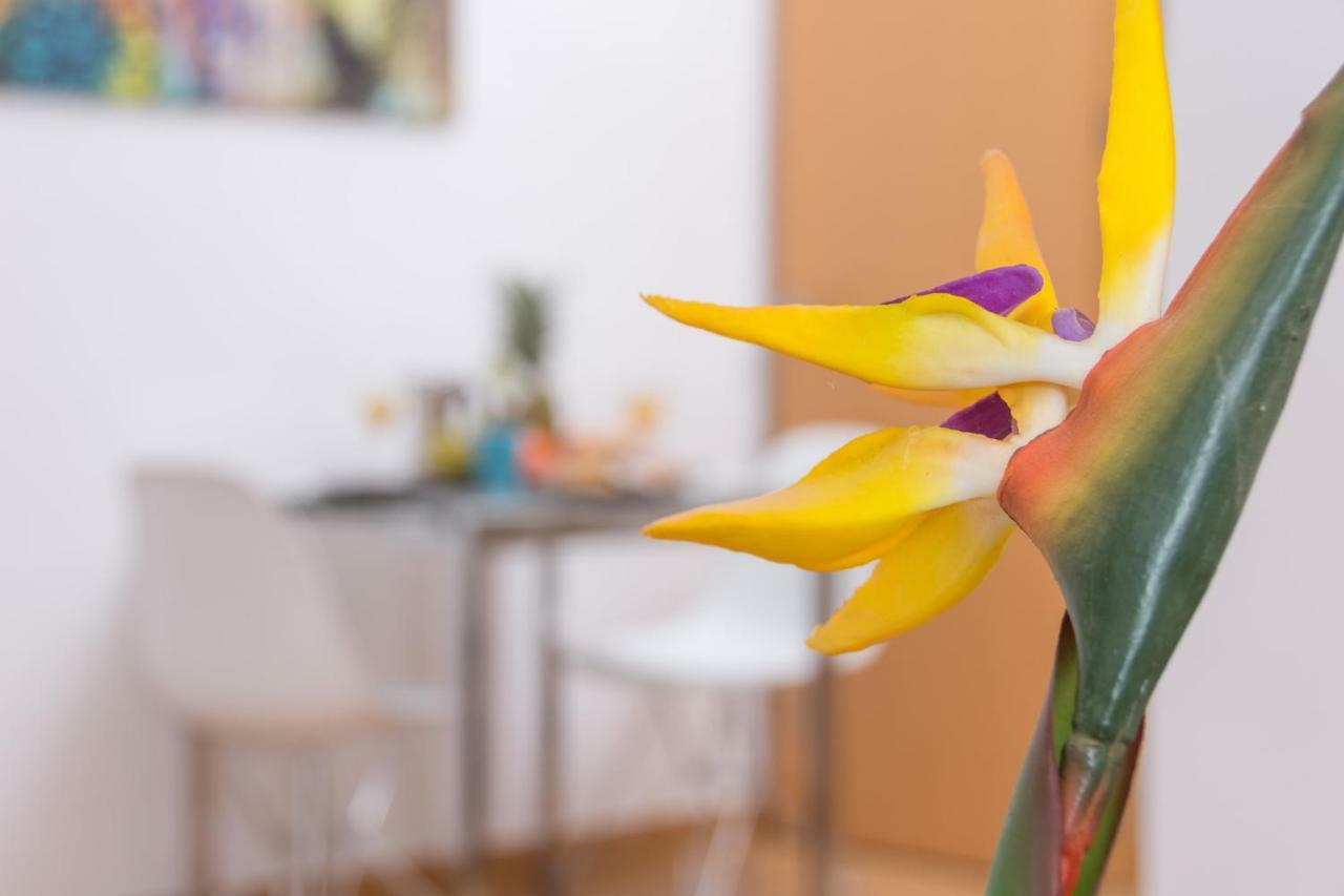 Magnifico Estudio En Bolsa 6. Ac. Apartment Malaga Bagian luar foto